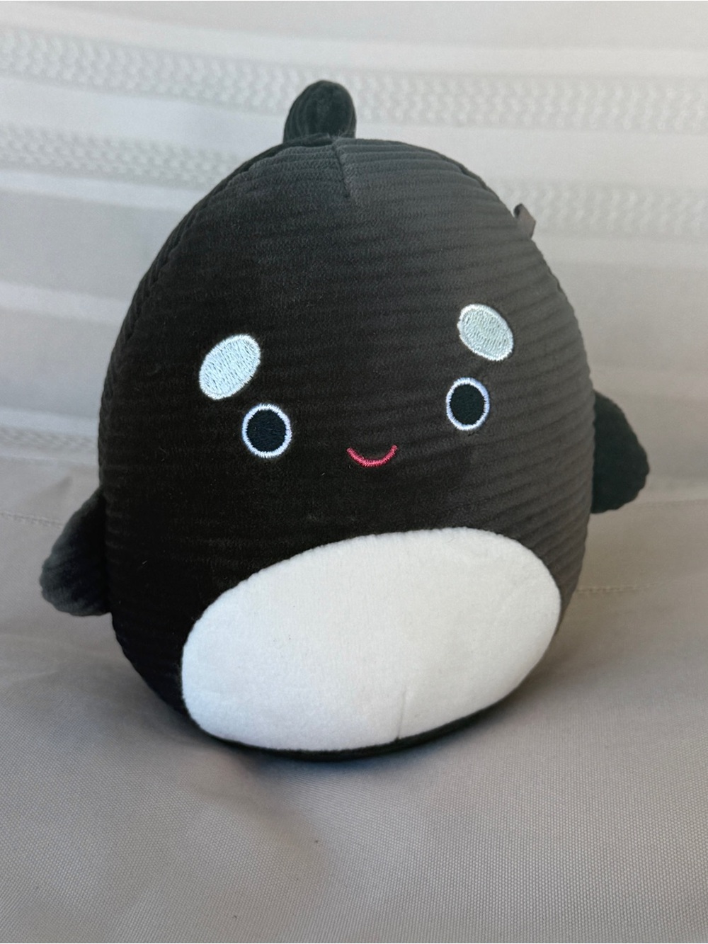 Squishmallow 8" Kai Killer Whale Ribbed Black White Orca Sea Plush